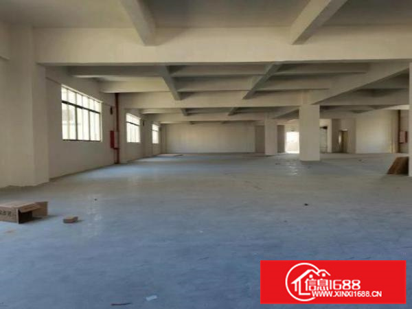 顺德容桂华口新建6500方厂房出租