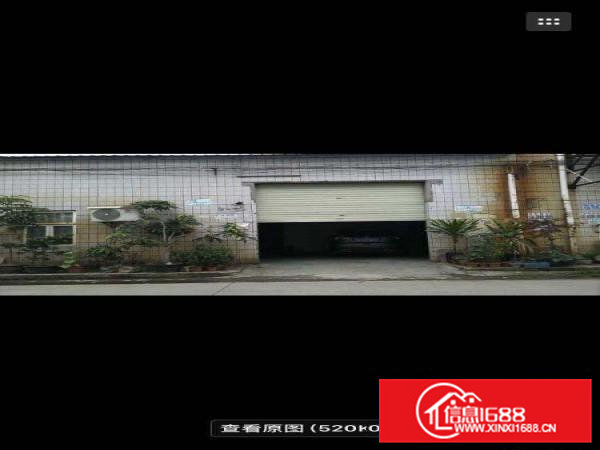 出租常平镇天鹅湖松柏塘厂房