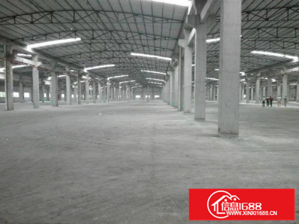 沥林标准单一层8米高厂房1200平米分租
