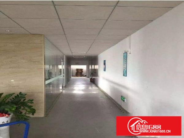 常平漱新新出800平米整层精装修厂房急租