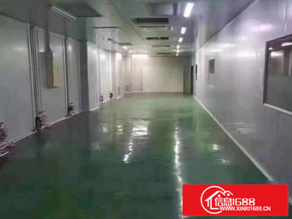 龙岗吉祥地铁口拎包入住