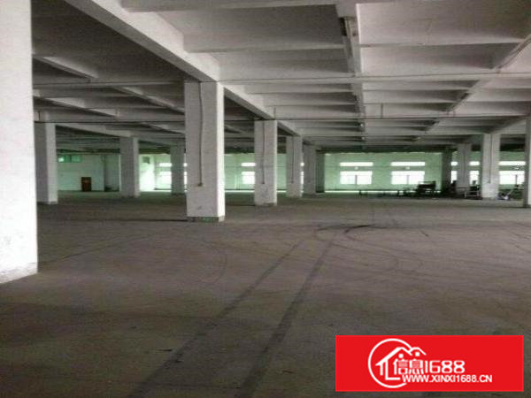 业主厂房直租,凤岗工业区500-1600平方任租