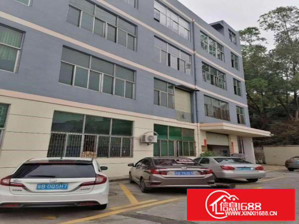 横岗四联1150平方带装修厂房出租无转让费