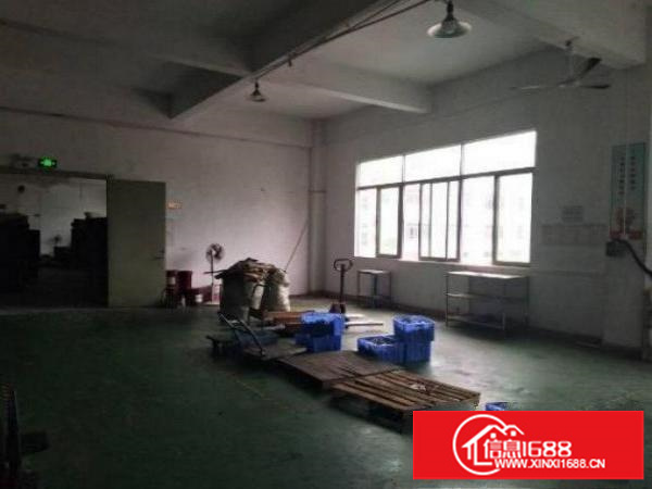 布吉布吉关新出楼上300平带装修标准厂房出租