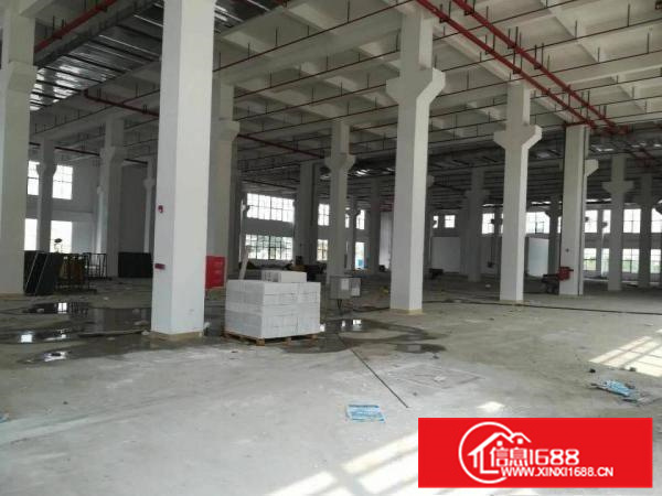 仲恺高新区标准产业园100000平方原房东出租