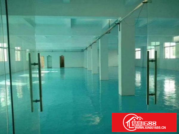 龙华大型工业区独栋厂房可进大车环境好价格实惠行业不限