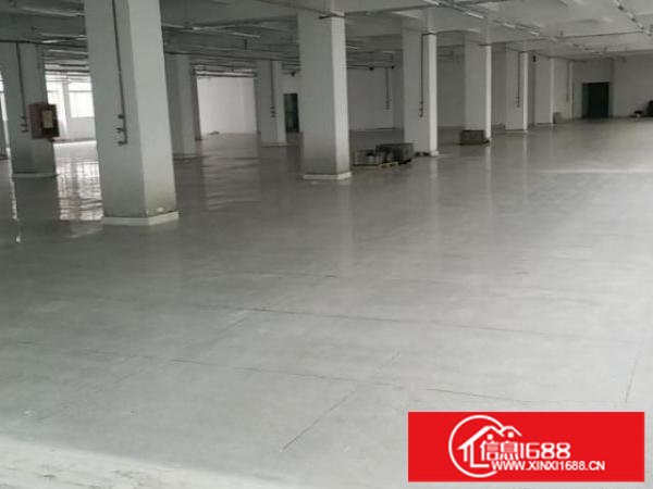 出租宝安区福永桥头富海工业区