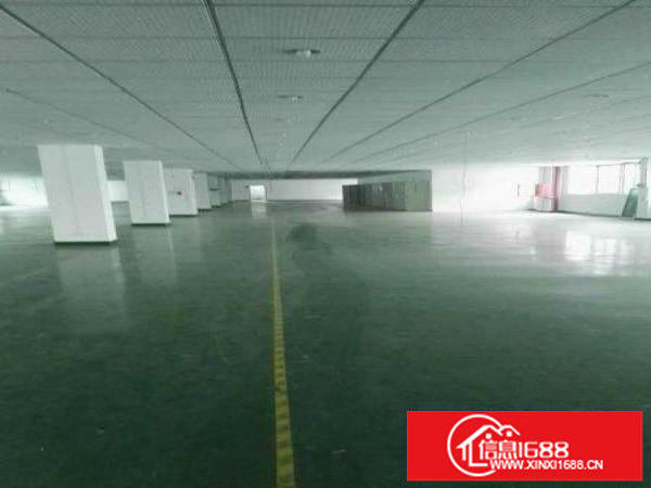 横岗近丹竹头一栋3000平横岗地铁口厂房可分租