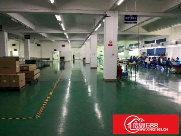 五联村委独院4500平方厂房出租可分租一楼高度6米