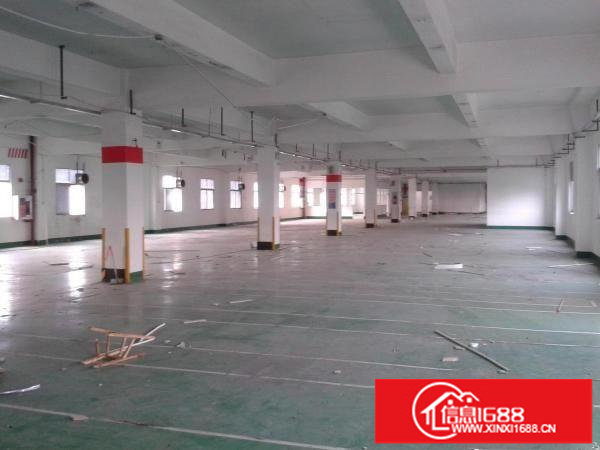 丹竹头永昌大厦附近190平320平500平750平