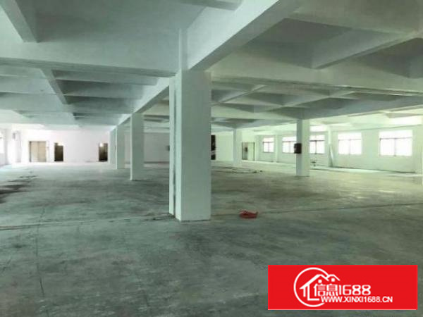 万江简沙洲工业园新空出标准2楼1300平方出租