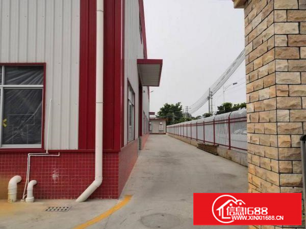 里水镇形象好的全新钢构单一层出租。可分租。