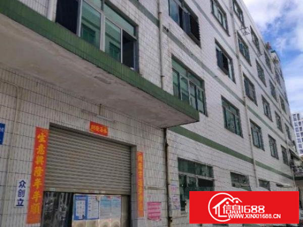 横岗方正漂亮独院厂房8800平出租招租分租整租