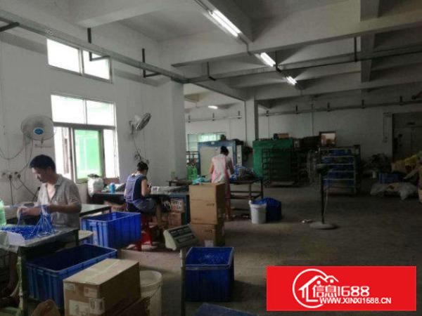 清溪浮岗楼上500平米带消防喷淋厂房出租水电齐全