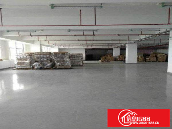 布吉大芬新出700平带装修厂房出租