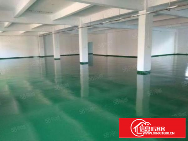 万江新出500~1000平带全新地坪漆出租(交通方便易招工)