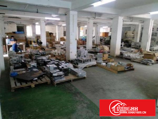 沙井西环路南环路大王山塘尾1楼450平带装修厂房出租