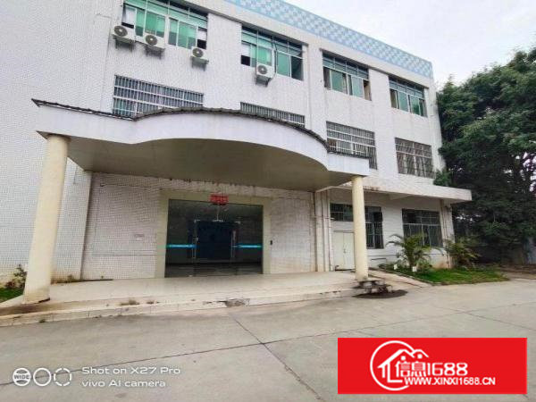 塘厦科苑城新出标准一楼750平带牛角现成办公室花园式厂房出租