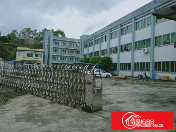 企石镇独门独院厂房大小分租