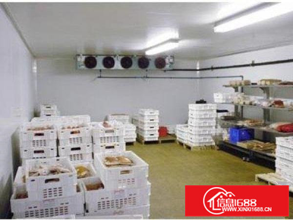 现成冷库850平方出租