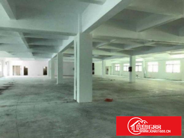 高埗环城路外独院标准楼房1栋3层6500平方出租