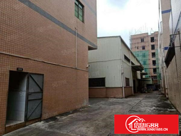 高埗新出原房东独门独院厂房，现成装修很豪华