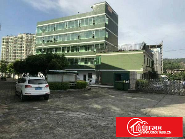 龙华大浪新出楼上500平方厂房，带豪华装修超低价格