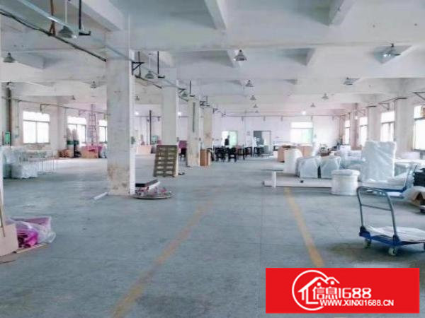 坂田天虹附近新出原房东1楼550平可分