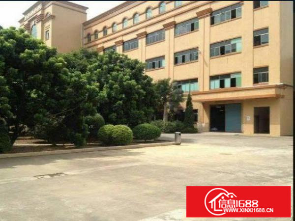 横沥田坑独院标准1楼700平方现成主线装修招租