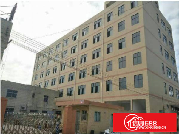 大岭山新出原房东标准厂房一楼1200平方，带牛角