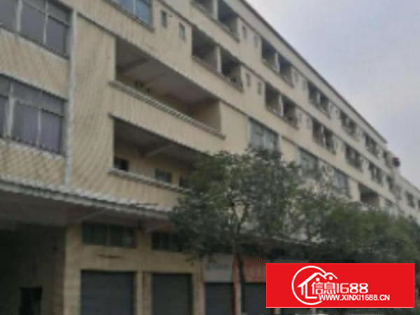 万江1独院标准860平米现成水电豪华办公