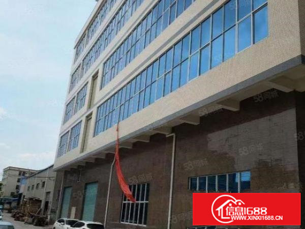 靠近常平新出一楼800平高7m带牛角,适合各种行业,交通方便