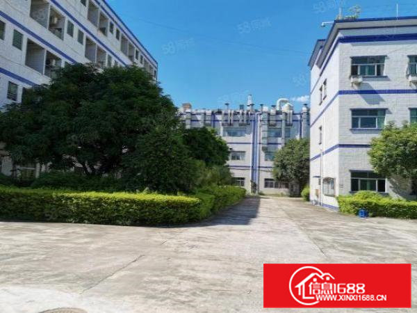 桥头高新工业园区4000平方厂房招租12元原房东独院形象极好