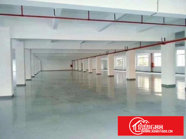 主干道旁好招工形象好凤岗楼上带装修厂房出租可以分租