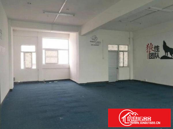 龙华大浪商业中心新出标准精装厂地230平出租