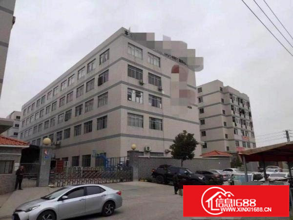 龙岗南约房东直租楼上500平米带办公室精装修