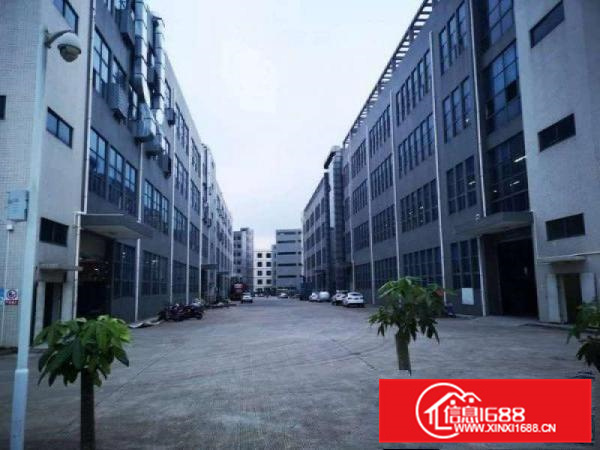 新圩高速出口红本厂房2-4层每层4500平出租分租