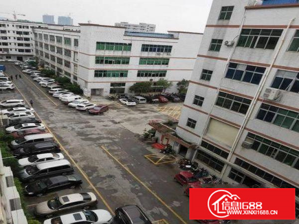 横岗原房东厂房招租一整层1680平方