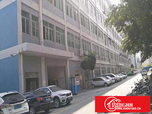 横岗高速出口楼上1100平精装修红本厂房出租