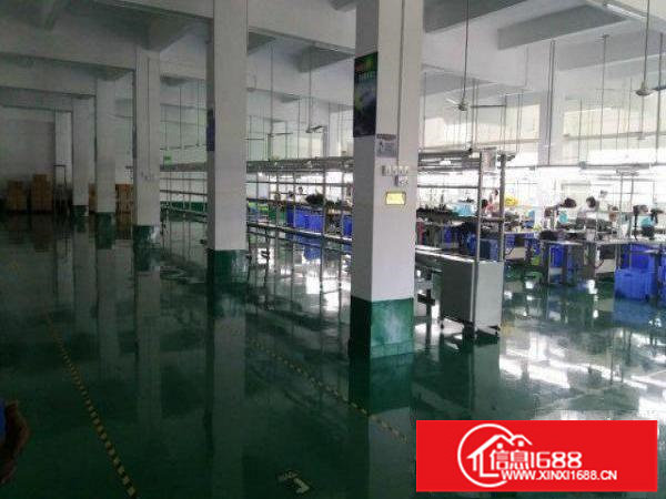 六约电子厂带装修原房东厂房300平米1000平米