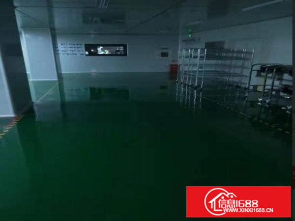 全新标准厂房大小分租玻璃幕墙带精装修