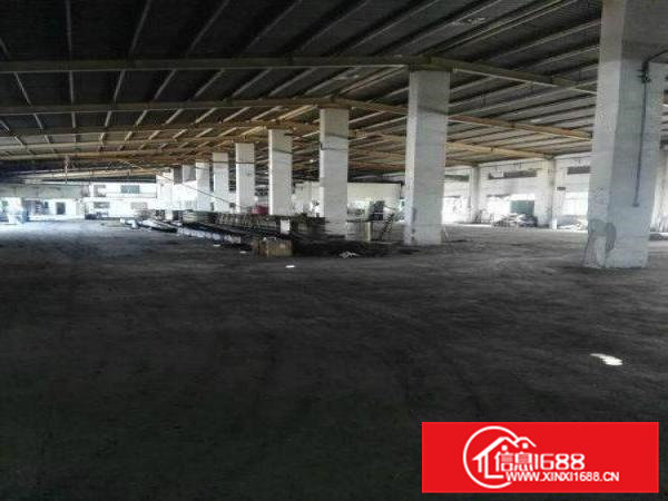 凤岗镇原房东独门独院钢构出租