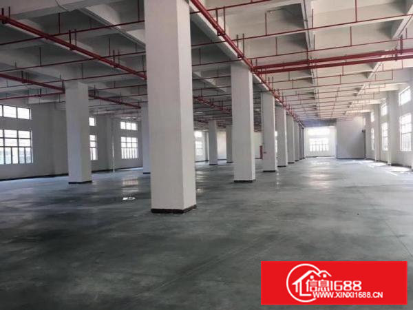 寮步镇塘边社区标准首层一楼1400平厂房出租信息带红本可环评