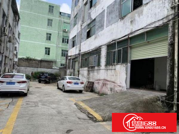 观澜黎光新出1楼220平,带办公室装修,水电齐全,领包入住