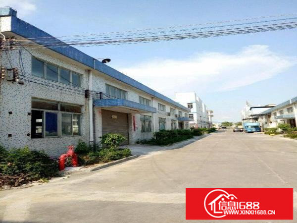 坪山石井比亚迪旁钢结构厂房1300平米出租