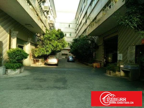 大岭山一楼280平方大路边上