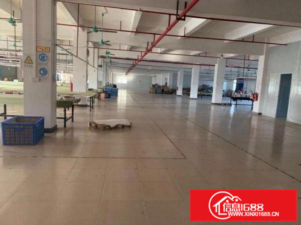 独院厂房建筑5500平永久性使用业主包过户