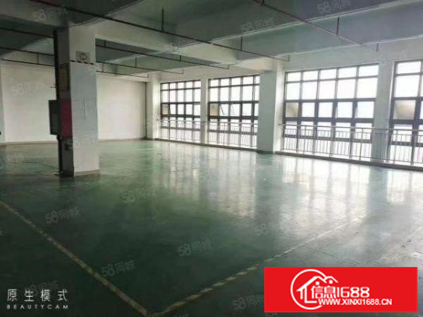 龙岗高新产业园新出楼上一整层3200，精装修办公室格局方正