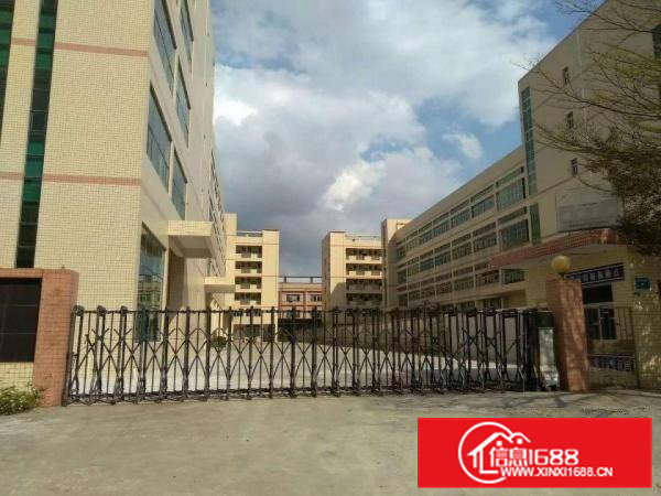 10000方原房东高大上独院厂房