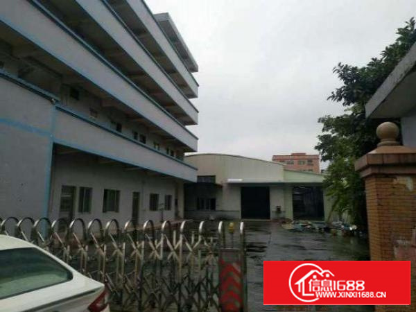 万江简沙洲独门独院单一层厂房2100㎡滴水9米出租